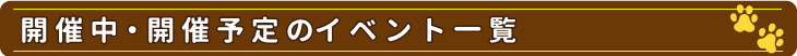 開催中・開催予定のイベント一覧