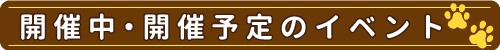 開催中・開催予定のイベント一覧