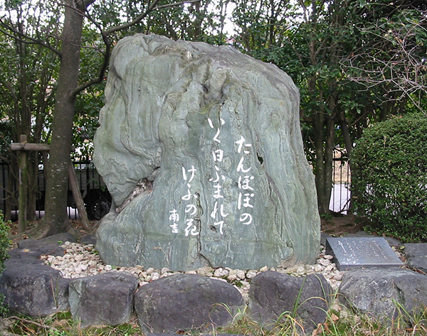 写真　「たんぽぽ」句碑