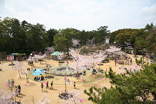 写真　雁宿公園