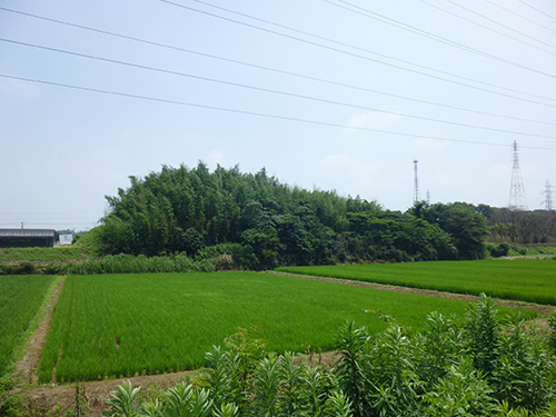 写真　しんたのむね