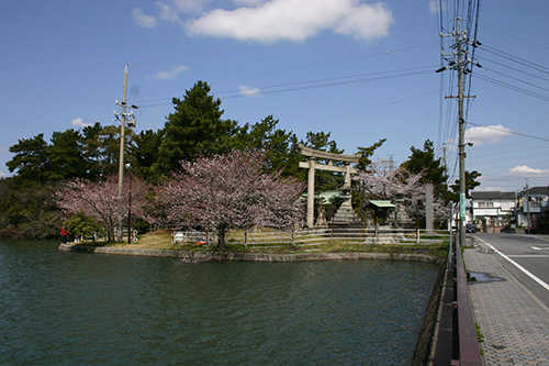 写真　住吉神社