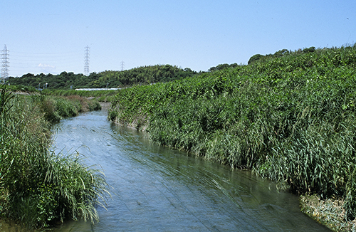 写真　矢勝川